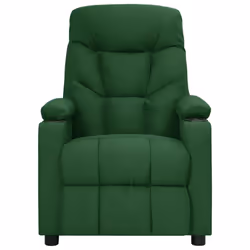 VidaXL 3098833 Fauteuil massant électrique Vert