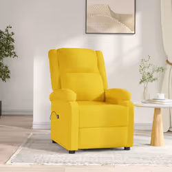 VidaXL 3100365 fauteuil