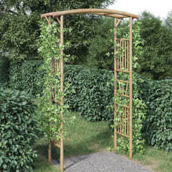 Arche pour rosiers Bambou 118x40x187 cm vidaXL