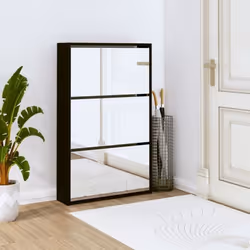 vidaXL Armoire à chaussures avec miroir 3 niveaux Noir 63x17x102,5 cm