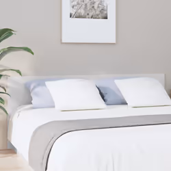 VidaXL 811043, Blanc, Bois, 2000 mm, 80 cm, 15 mm