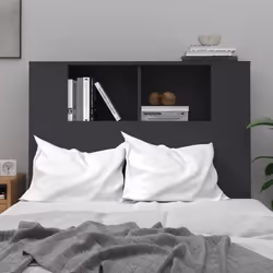 VidaXL 811908 tête de lit et pied de lit Noir