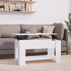 VidaXL 809701 Table à café, latérale et de salon