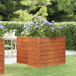 Vidaxl - Lit surélevé de jardin rouillé 100x100x77 cm acier corten