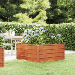 Vidaxl - Lit surélevé de jardin rouillé 100x100x45 cm acier corten