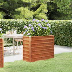 Vidaxl - Lit surélevé de jardin rouillé 100x40x77 cm acier corten