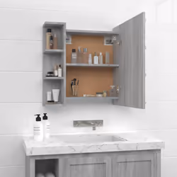 VidaXL 820452 miroir de salle de bain et armoire de rangement pour évier - Vue supplémentaire 4