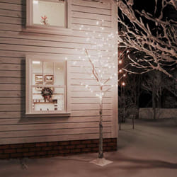 Vidaxl - Bouleau blanc à led 240 led Blanc chaud 300 cm