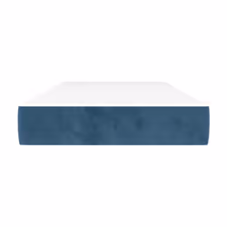 VidaXL 347752 matelas Taille lit simple/twin Matelas à ressorts