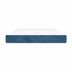 VidaXL 347792 matelas Taille enfant / adulte Matelas à ressorts