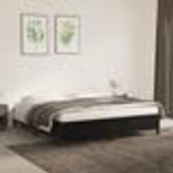 vidaXL Cadre de lit sans matelas noir 180x200 cm velours - 80 x 200 cm