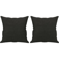 Vidaxl - Coussins décoratifs lot de 2 Noir 40x40 cm Tissu