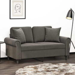 Coussins décoratifs lot de 2 Gris foncé 40x40 cm Velours Vidaxl
