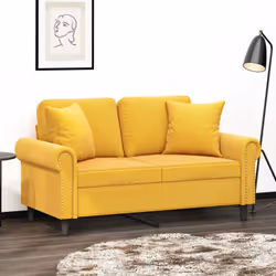 Ajoutez une touche de style et de confort à votre décor avec ces oreillers décoratifs ! Velours doux : le velours est un tiss ...