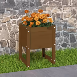 Cette jardinière sera parfaite pour les amateurs de bricolage pour décorer les jardins, les balcons ou les patios. Bois de pi ...