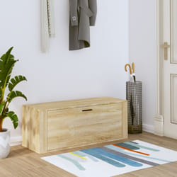 Vidaxl - Armoire à chaussures murale Chêne sonoma 100x35x38 cm