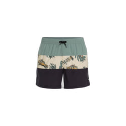 Short de bain O'Neill Mix & Match Cali Block 15"