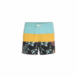 Short de bain O'Neill Mix & Match Cali Block 15"
