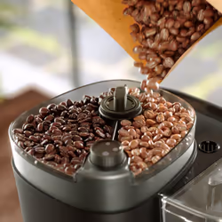Philips All-in-1 Brew HD7900 Cafetière filtre avec broyeur intégré