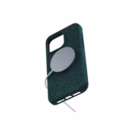 Njord byELEMENTS Salmon Leather Magsafe Case for iPhone 15 Pro Max, Vert