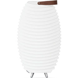 Kooduu - enceinte bluetooth sans fil avec lampe led et seau à glace intégrés 56cm - synergy 50s 2.0