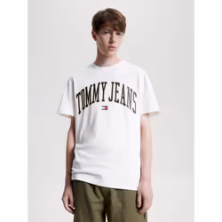 Tommy Hilfiger DM0DM17730, Tee-shirt, Adulte, Mâle, Blanc, L, Encolure torsadée