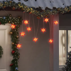 Vidaxl - Lumière de Noël 10 led rouge 10 cm