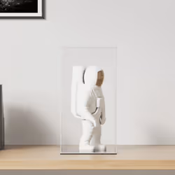 Cette boîte de présentation en acrylique protège entièrement vos articles de la poussière et des dommages. Matériau durable : ...