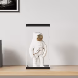 Cette boîte de présentation en acrylique protège entièrement vos articles de la poussière et des dommages. Matériau durable : ...