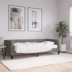 VidaXL 3196571 canapé lit sofa Gris