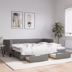 VidaXL 3196615 canapé lit sofa Gris