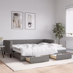 VidaXL 3196620 canapé lit sofa Gris