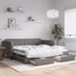 vidaXL Lit de jour avec gigogne et tiroirs sans matelas 100x200 cm - 100 x 200 cm