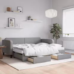VidaXL 3196880 canapé lit sofa Gris
