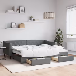 VidaXL 3197463 canapé lit sofa Gris