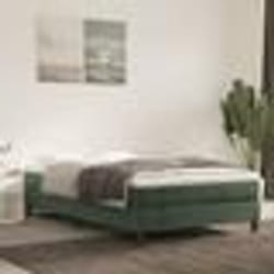 vidaXL Sommier à lattes de lit et matelas Vert foncé 120x200cm Velours - 120 x 200 cm