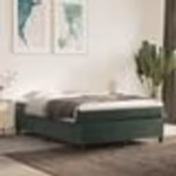 vidaXL Sommier à lattes de lit et matelas Vert foncé 140x200cm Velours - 140 x 200 cm
