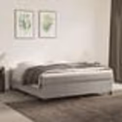 vidaXL Sommier à lattes de lit et matelas Gris clair 180x200cm Velours - 80 x 200 cm