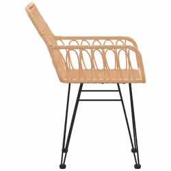 VidaXL 319426 chaise d'extérieur Terrace Polyéthylène, Polyuréthane, Acier - Vue supplémentaire 5