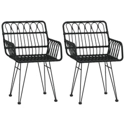 VidaXL 319427 chaise d'extérieur Terrace Polyéthylène, Polyuréthane, Acier Noir