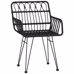 VidaXL 319427 chaise d'extérieur Terrace Polyéthylène, Polyuréthane, Acier Noir