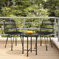VidaXL 319429 chaise d'extérieur Terrace Polyéthylène, Polyuréthane, Acier Noir