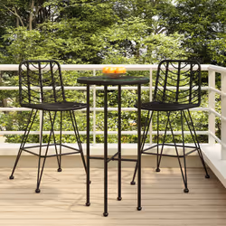 VidaXL 319431 chaise d'extérieur Terrace Polyéthylène, Polyuréthane, Acier Noir