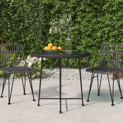 VidaXL 319437 table de jardin Noir