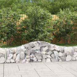 vidaXL Paniers à gabions arqués 8 pcs 200x30x40/60 cm Fer galvanisé