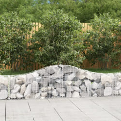 vidaXL Paniers à gabions arqués 15 pcs 200x30x40/60 cm Fer galvanisé