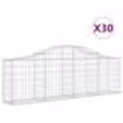 vidaXL Paniers à gabions arqués 30 pcs 200x30x60/80 cm Fer galvanisé