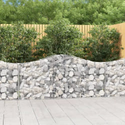 vidaXL Paniers à gabions arqués 15 pcs 200x30x80/100 cm Fer galvanisé