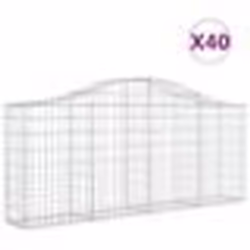 vidaXL Paniers à gabions arqués 40 pcs 200x30x80/100 cm Fer galvanisé