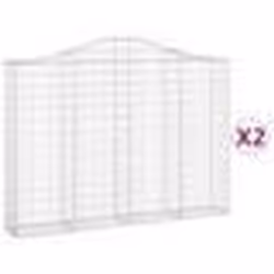 vidaXL Paniers à gabions arqués 2 pcs 200x30x140/160 cm Fer galvanisé